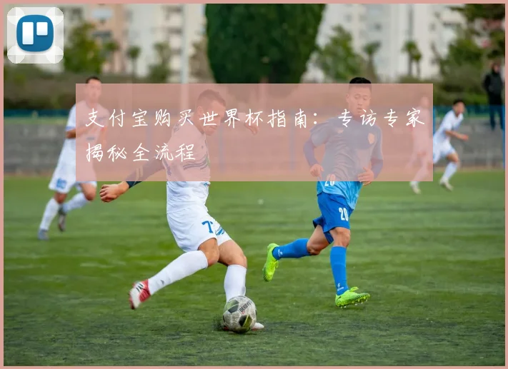 支付宝购买世界杯指南：专访专家揭秘全流程